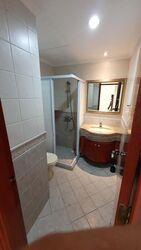 Parc Palais (D21), Condominium #516995991